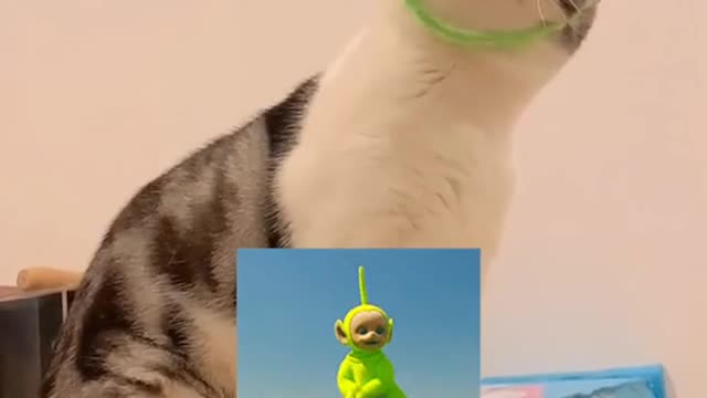 Teletubbies,therearealotoffunclothes,cometomystoreandhavealook.