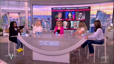 'The View' Co-Hosts Bash Democrat Candidates Running In 2024 Election