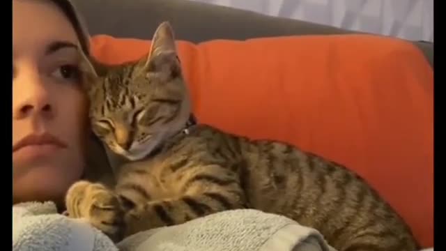 Cat Funny Videos...( sometimes they deserve it 😽😂❤️😂🔥) #catlove#love