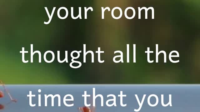 What if the ant you killed in your room thought all the time that you were its roommate?