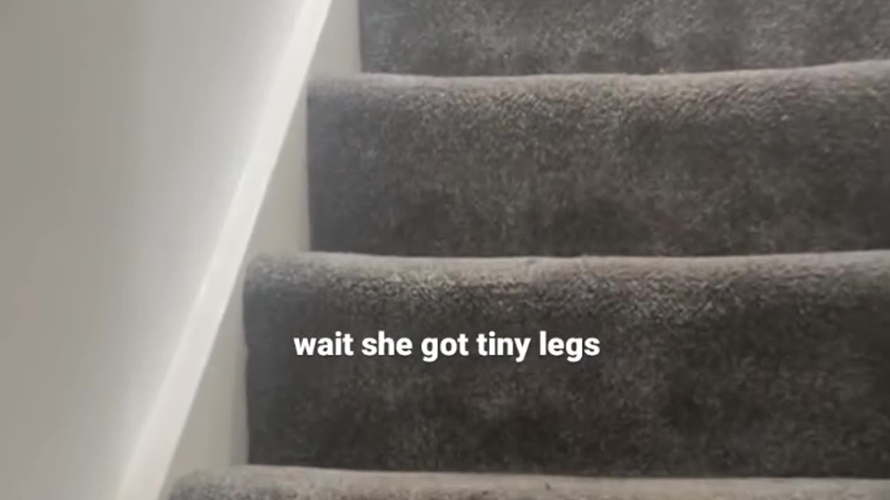 Wait for her...