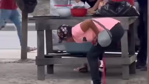 Soft Dogs Prank