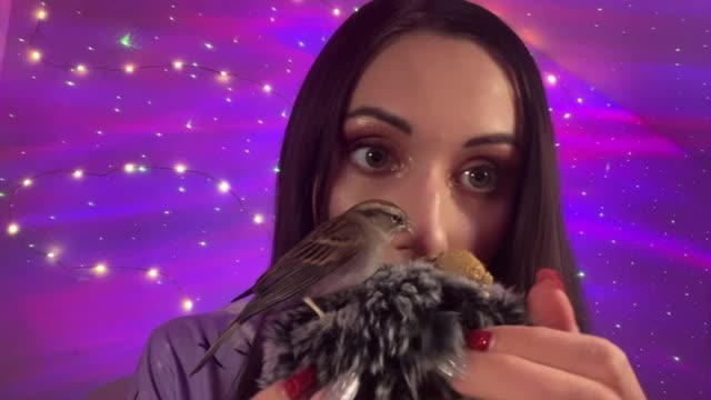 “The Bugs” ASMR trigger - Mouth Sounds, Plucking, Soft Whispers for lots of Tingles