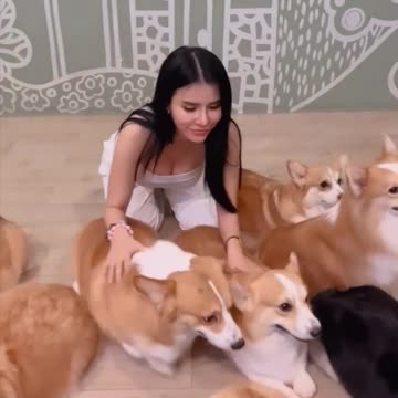 Enjoy Live With Dogs || Maria Vania