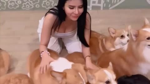 Enjoy Live With Dogs || Maria Vania