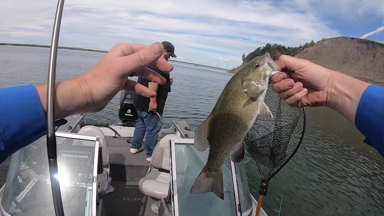 Working Ledges and Drop Offs For Smallmouth Bass