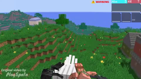 Minecraft video