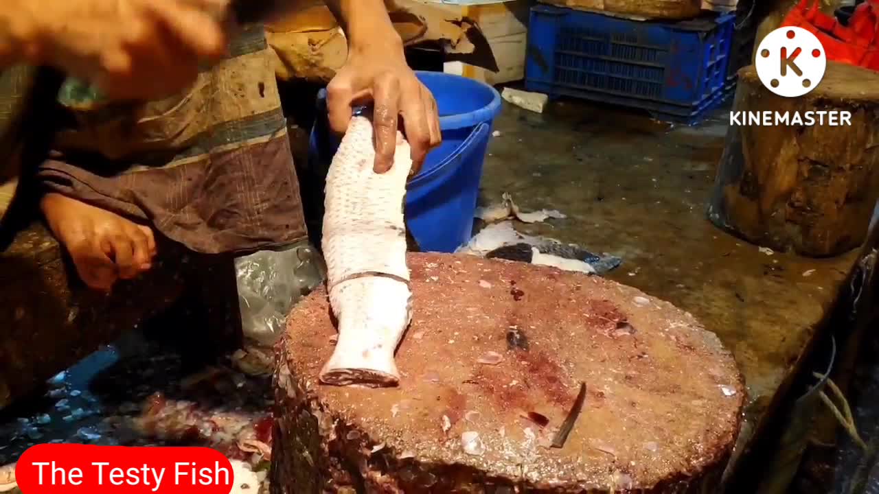 Big Datina Koral Fish Cutting In BD