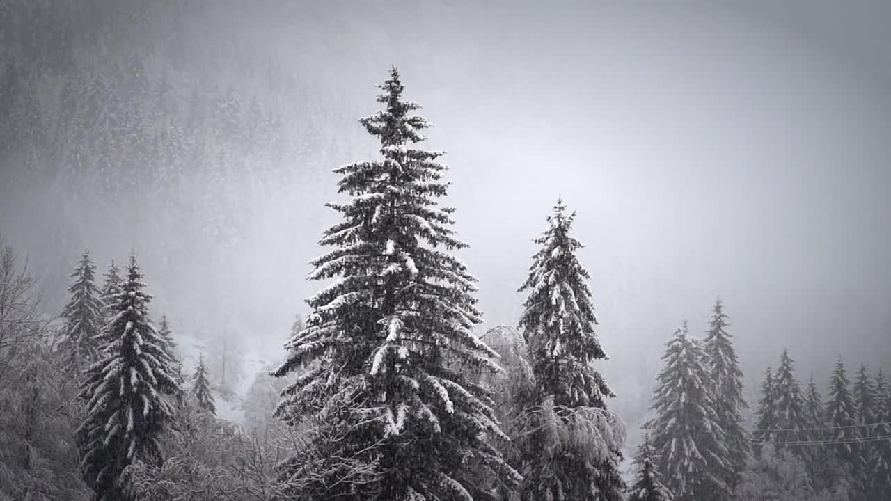 The most beautiful view when the white snow falls