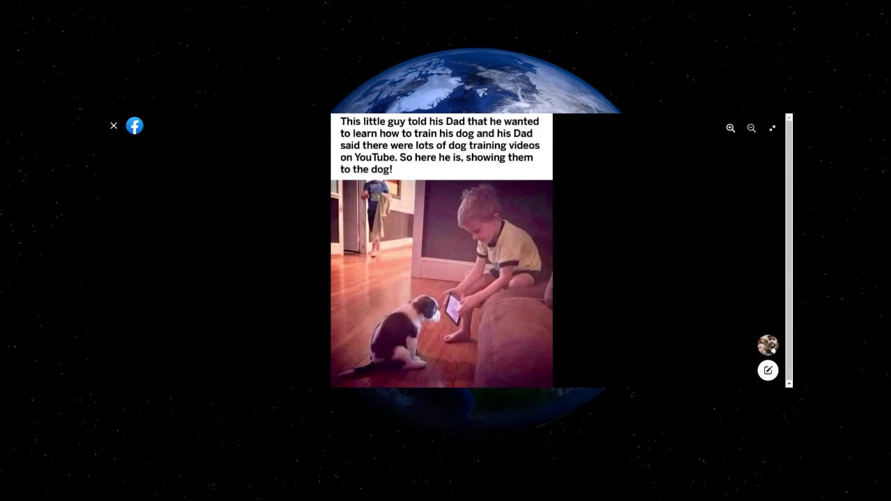 YouTube Is Going To The Dogs