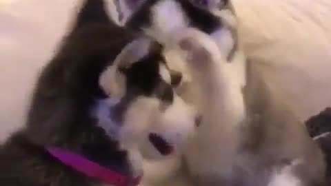 Becomes a good baby