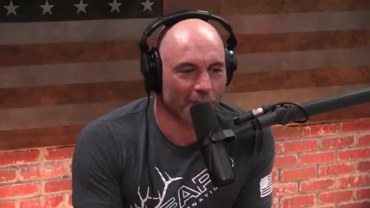 Joe Rogan & Abby Martin speak about Israel/Palestine (2018)