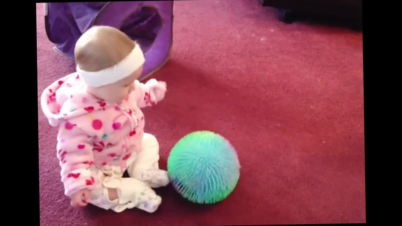 Cute Babies Playing With Dogs Compilation