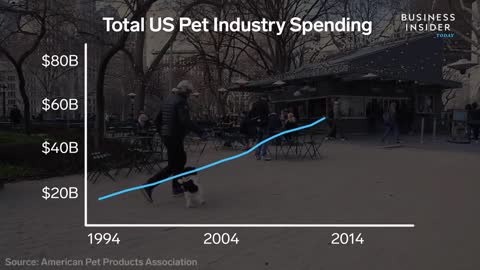 Why Americans Spend So Much Money On Pets