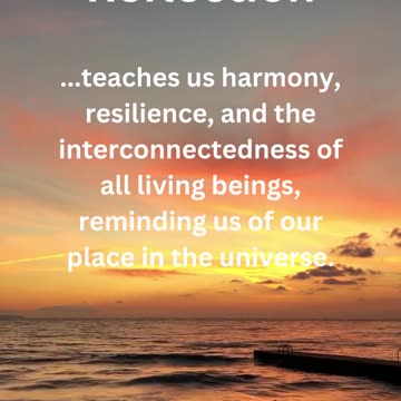 Wisdom and Reflection