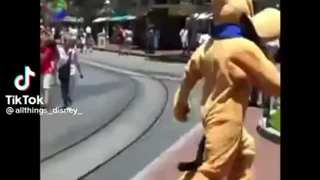 Pluto loses it at Disney and chases a Child