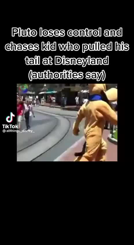 Pluto loses it at Disney and chases a Child