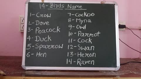 🐦 Birds Names in English and Hindi: Educational Video for Kids🦜