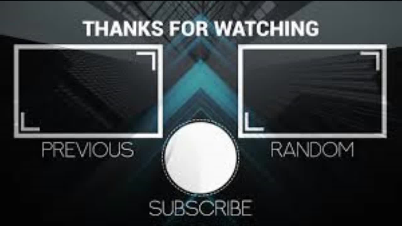 Funny Pets will Brighten Your Day!!!