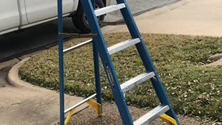 Ladder Decides to Leave