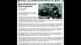 Band Of Gorillas Starts Rock N Roll Band