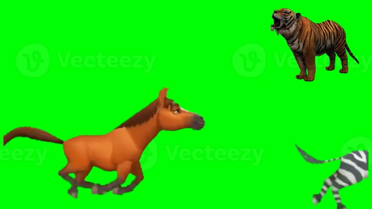 Animals stamped green screen| Green screen cartoon video