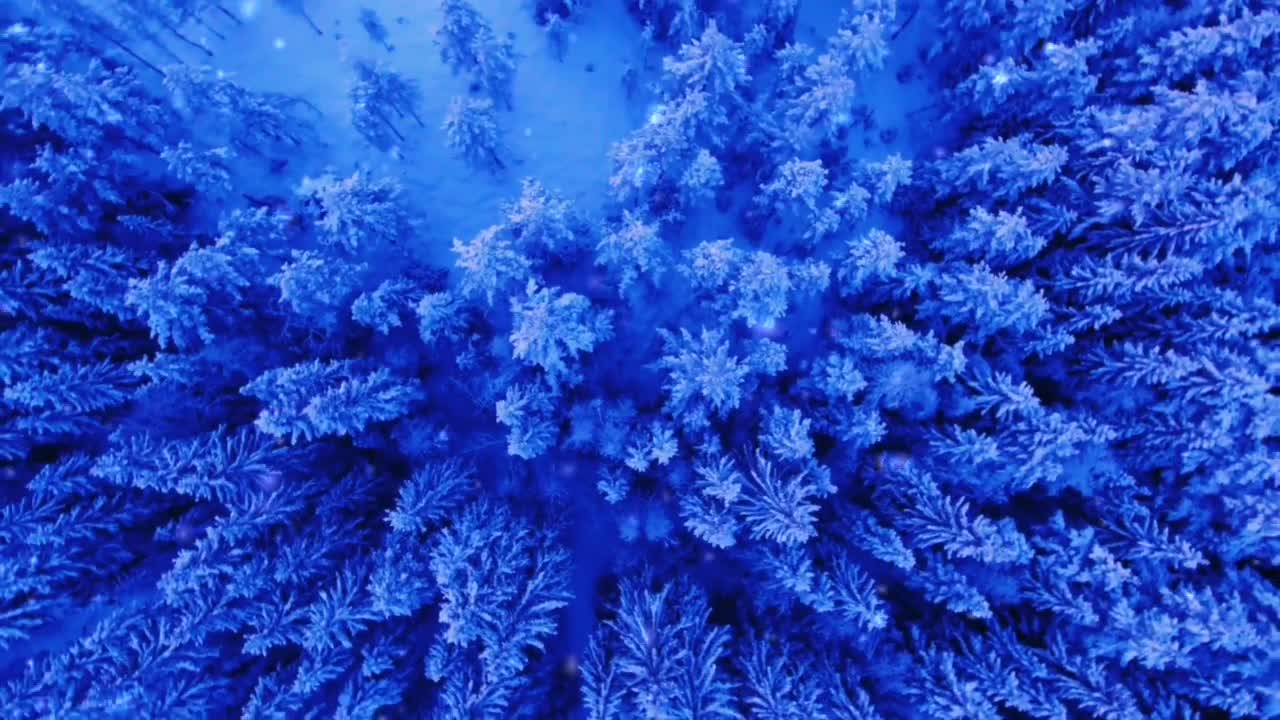 I HAVE TOKEN THE BRIGHTER STAR FOR YOU