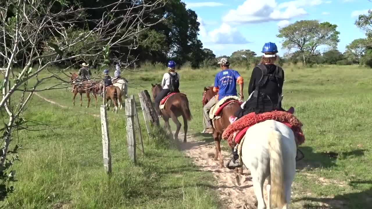 Horse Riding Pantanal wetlands, Brazil