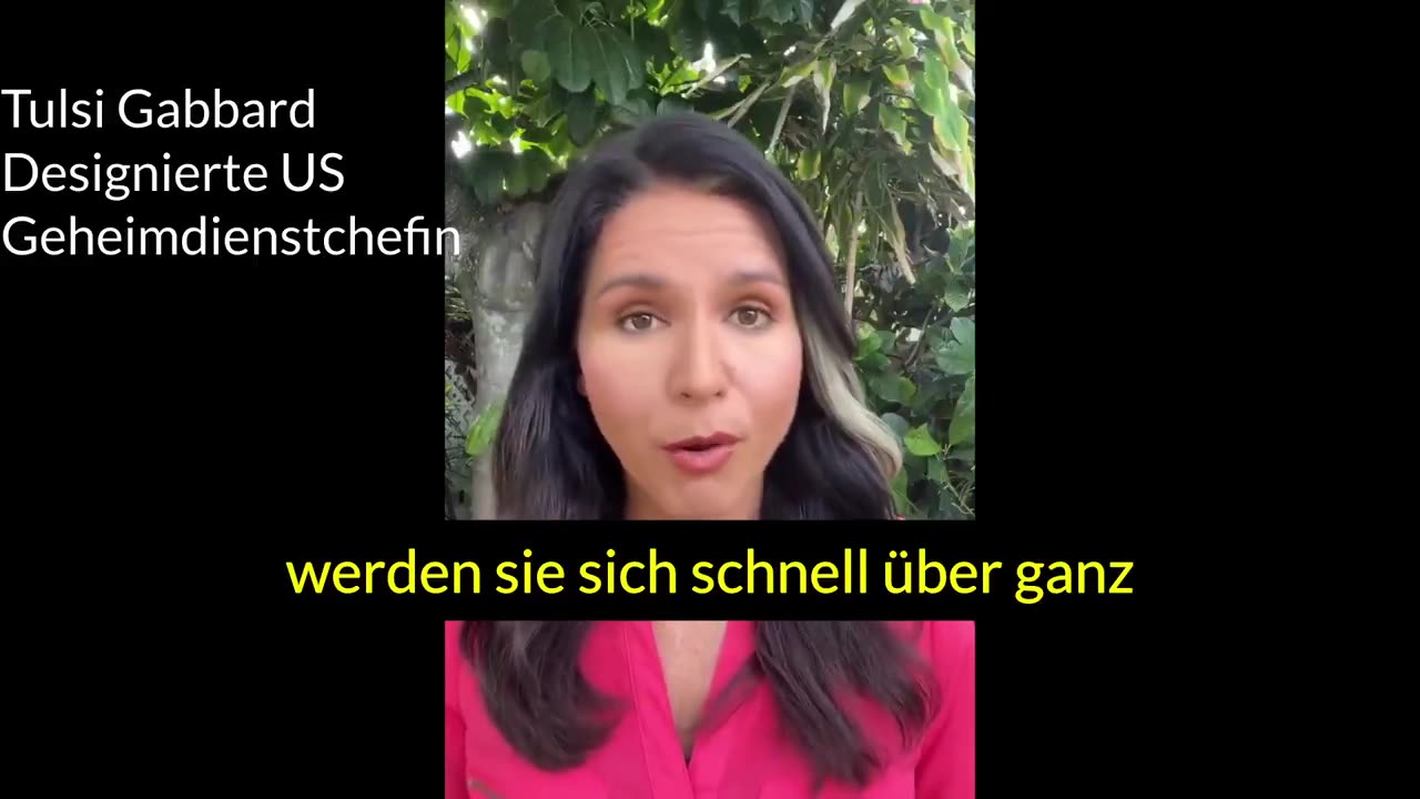 Biowaffen - USA - Tulsi Gabbard - Biowaffenlabore der USA in der Ukraine 16.11.2024 engUTdeu