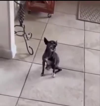 About to fly with that sneeze