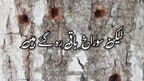 Gussa_Karna_In_Islam___Urdu_Islamic_Whatsapp_Status(1080p) #viral