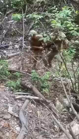 Ukrainians Argue Over Trophies