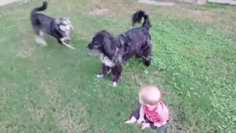 Funniest Kids And Pet Compilation New Funny Video YOU CAN'T STOP LAUGHING