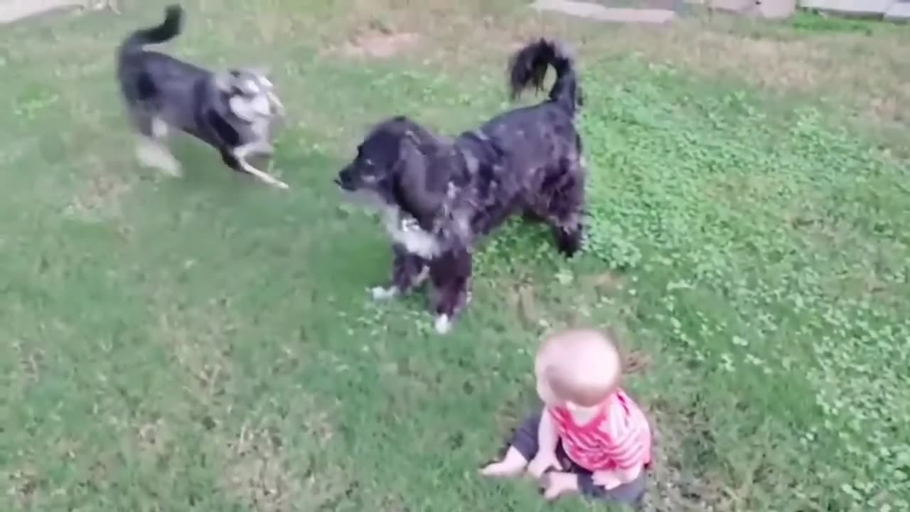 Funniest Kids And Pet Compilation New Funny Video YOU CAN'T STOP LAUGHING