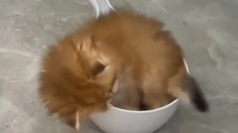 If I fits I sits 😂