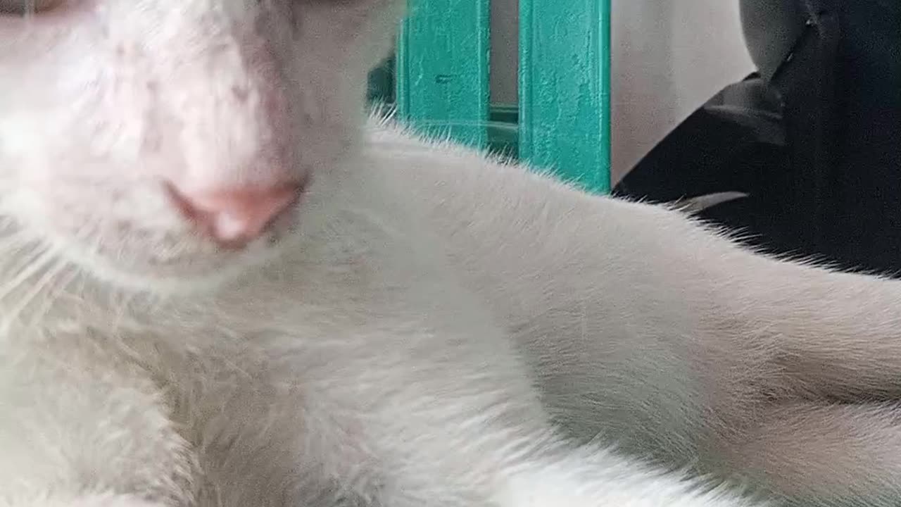 Disturb the little boy to sleep