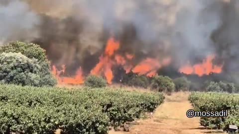 Bush fire in the north as a result of a Hezbollah launch