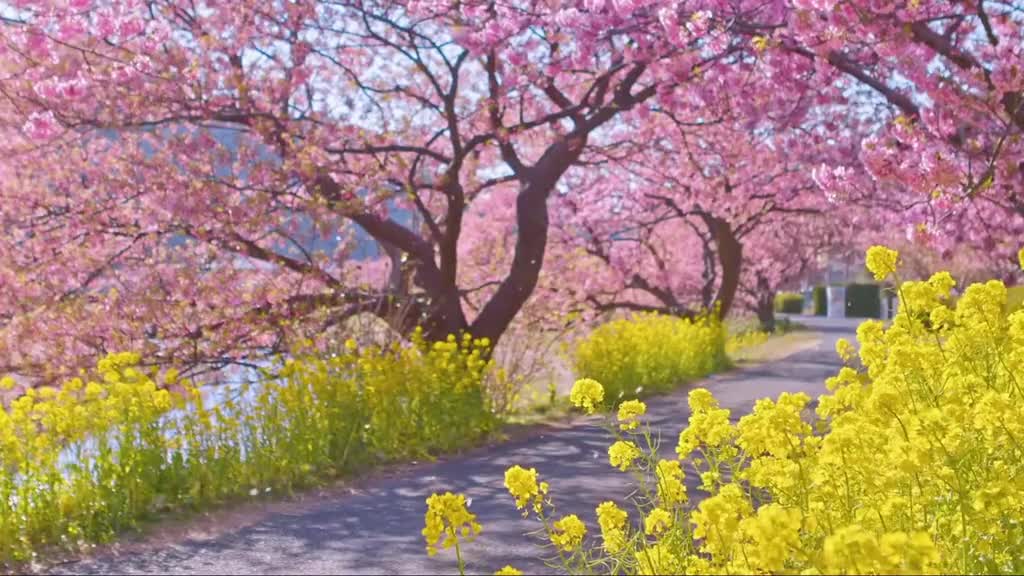 Spring is coming and we need