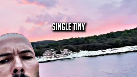 TATE ON THE BEAUTY OF CHESS