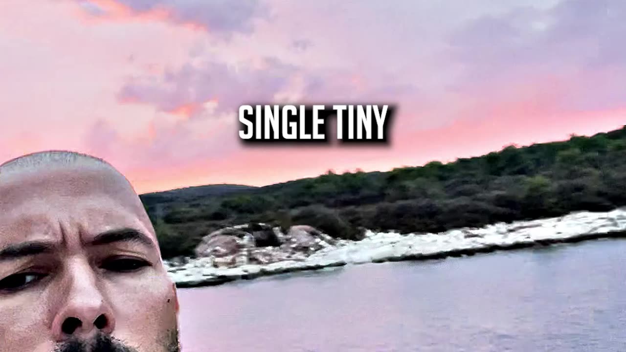 TATE ON THE BEAUTY OF CHESS