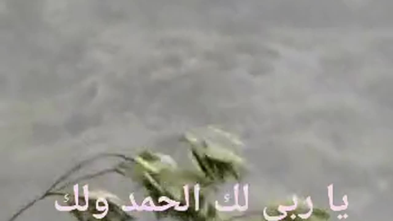 بلادي بلادي منار الهدى