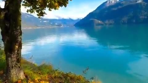 Beauty of Nature