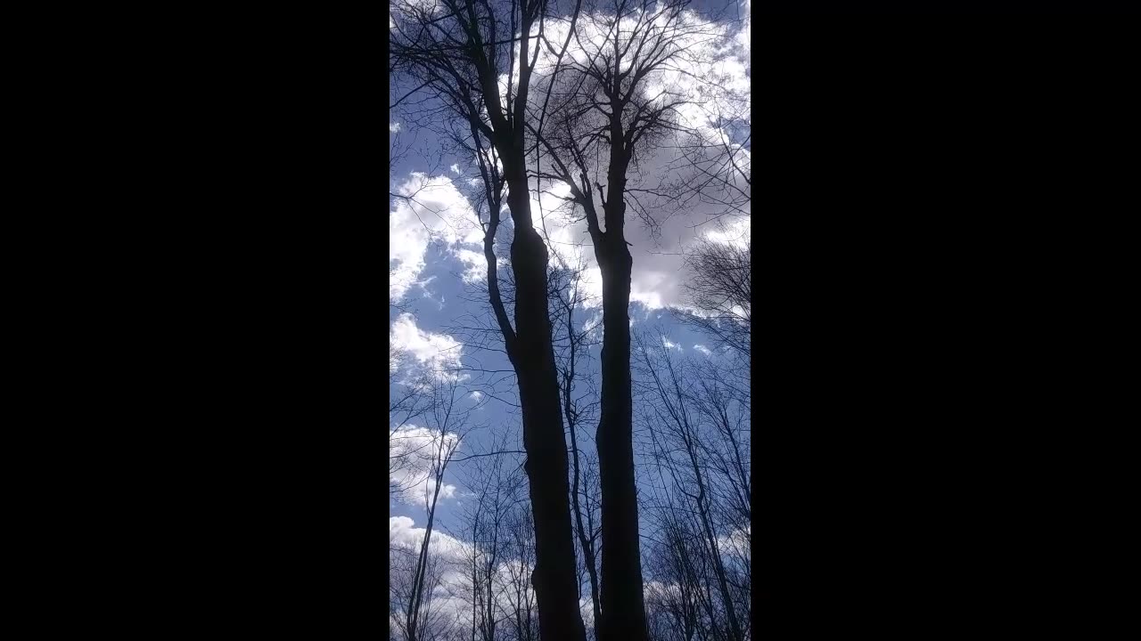 download FATHER GOD says end of DEEP STATE will be like Custer's last stand