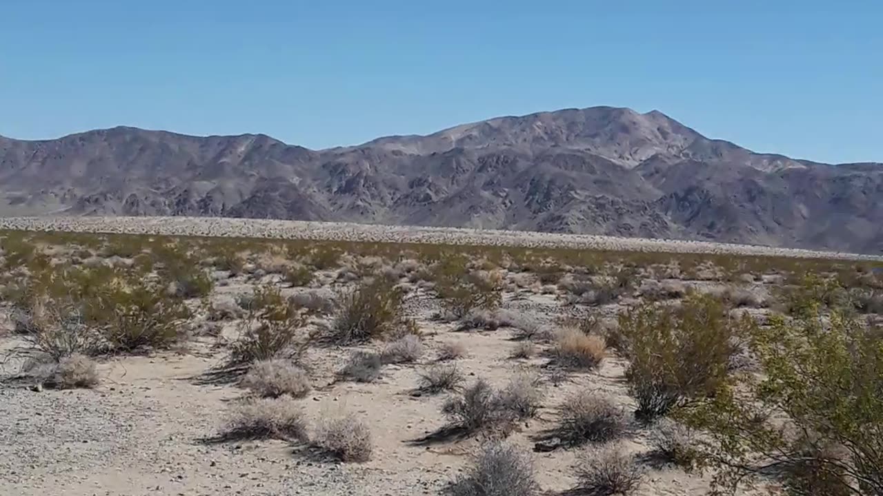 "Turkey Flats" in California Joshua Tree Nat'l Forest 4/28/23 Beauty