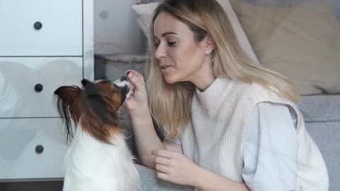 The Unconditional Love Of Dogs Is Incredible - Dogs Show Love To Their Owner