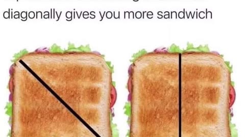 Sandwich #memes #funny #silly #paranoid #joke #conspiracy