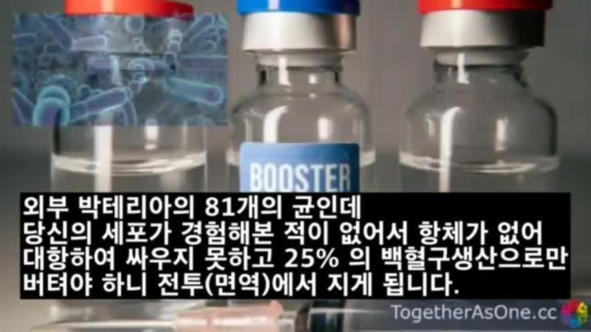 백신 1.2.3.4 차 단계별 특징