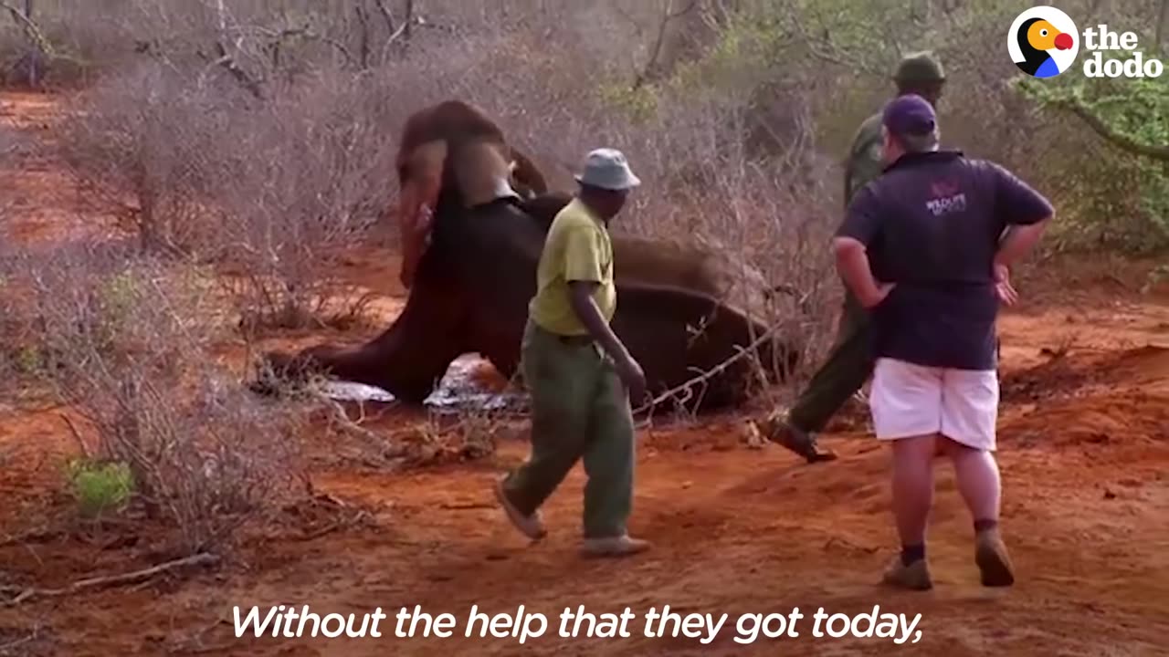 Mom And Her Baby Finally Stand Up After Surviving Attack