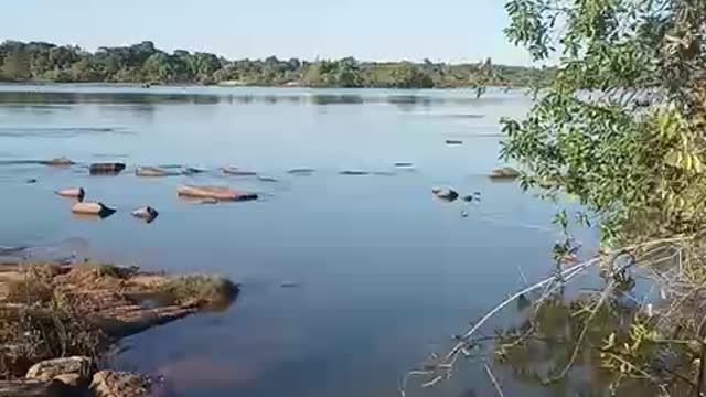 Xingú River one of the most beautiful in the world Sao Felix do Xingu-Pará-Brazil