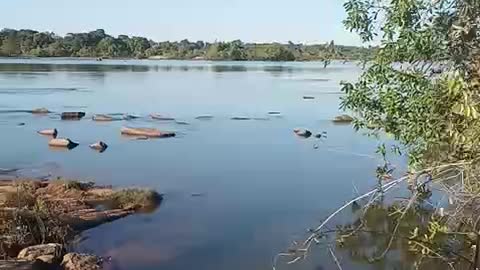 Xingú River one of the most beautiful in the world Sao Felix do Xingu-Pará-Brazil